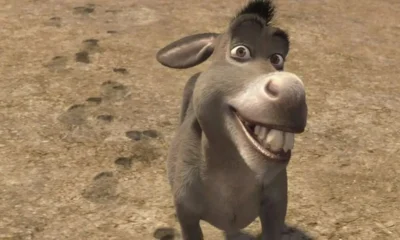 Burro de Shrek tendrá su propia película