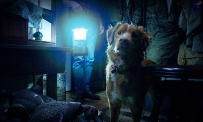 Good Boy lanza su primer tráiler