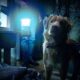 Good Boy lanza su primer tráiler